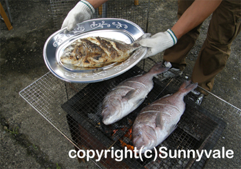 鯛の塩焼き