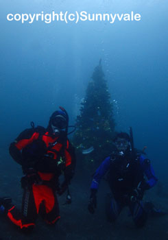 クリスマスツリー
