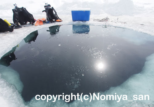 流氷ダイビング