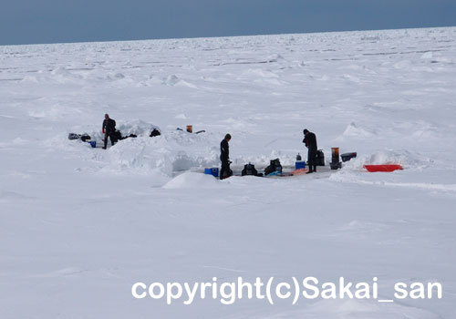 流氷ダイビング