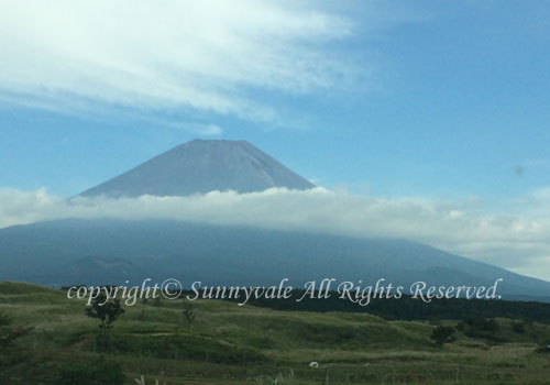 富士山