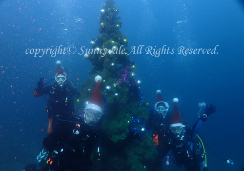 クリスマスツリー