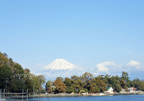 大瀬崎