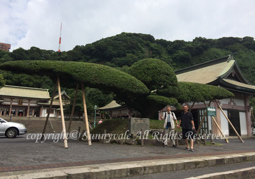 照国神社