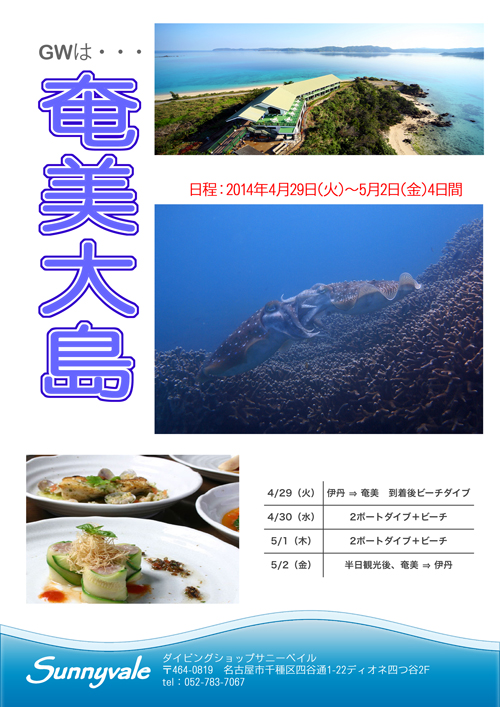 GWは、奄美大島で潜り倒しますよっ＼(^o^)／