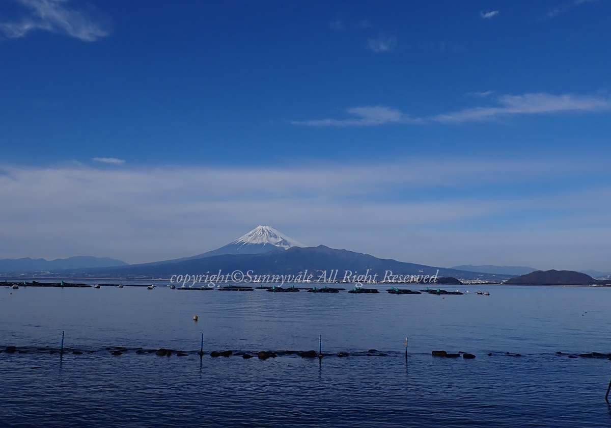 平沢