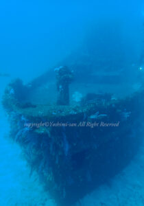 「沈船」　よしみさん