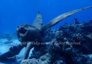 「川西式弐式大艇」　ゆかさん