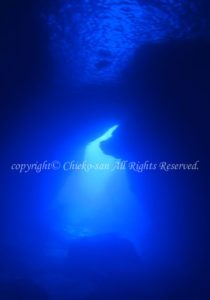 「グロット」　ちえこさん