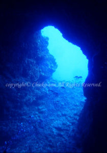 「テニアングロット」　ゆかさん