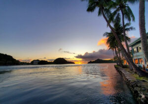 「パラオ」　なつみさん