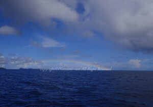 「パラオ」　なつみさん