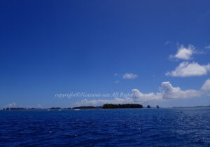 「パラオ」　なつみさん