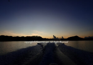 「パラオ」　なつみさん