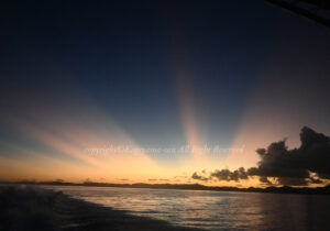 「パラオ」　かげやまさん