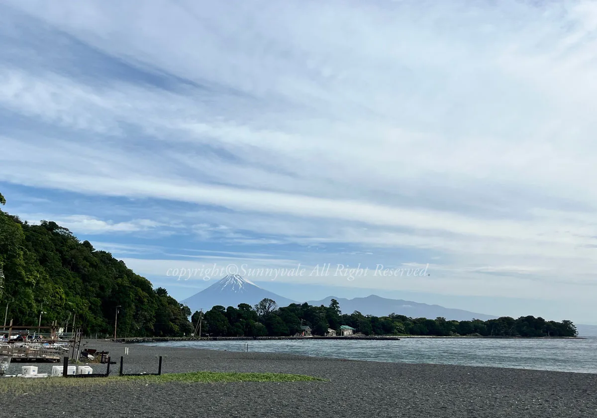 大瀬崎