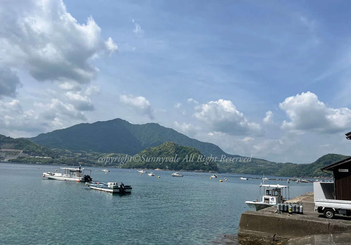 音海