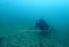 ダイバー