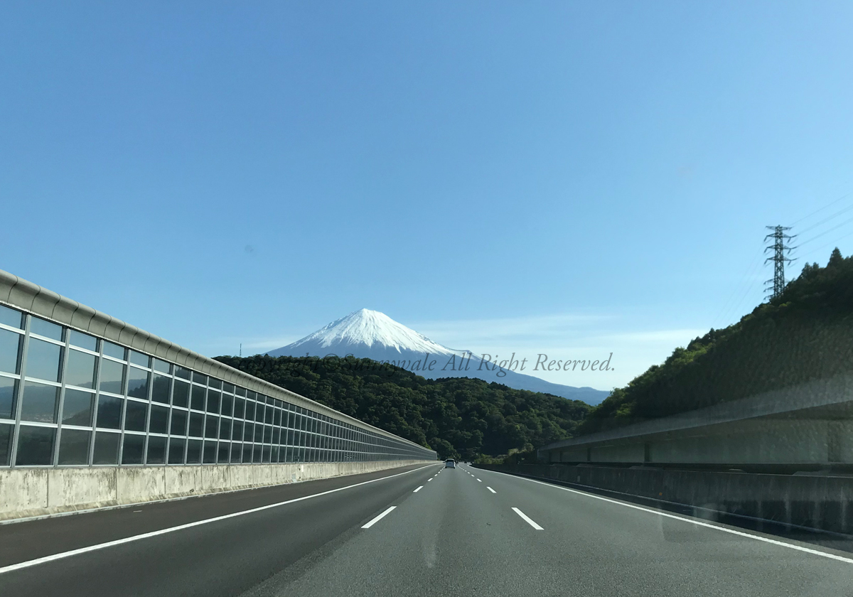 富士山