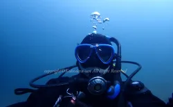 ダイバー