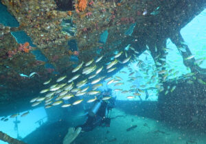 「沈船」　かげやまさん