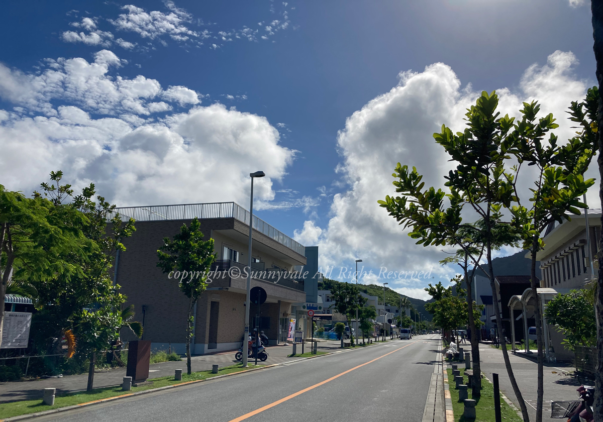 今年の夏も、小笠原