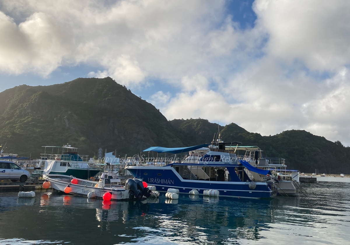 海はちょっと揺れてますが、小笠原満喫中