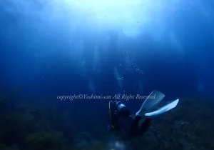 「ダイバー」　よしみさん