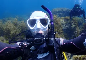 「ダイバー」　よしみさん