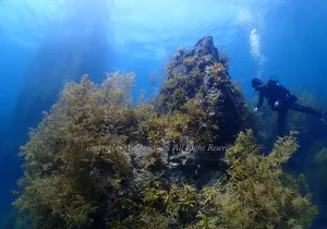 「軍艦岩」　よしみさん