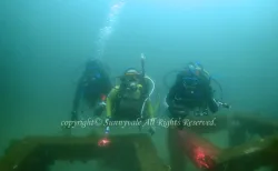 ダイバー