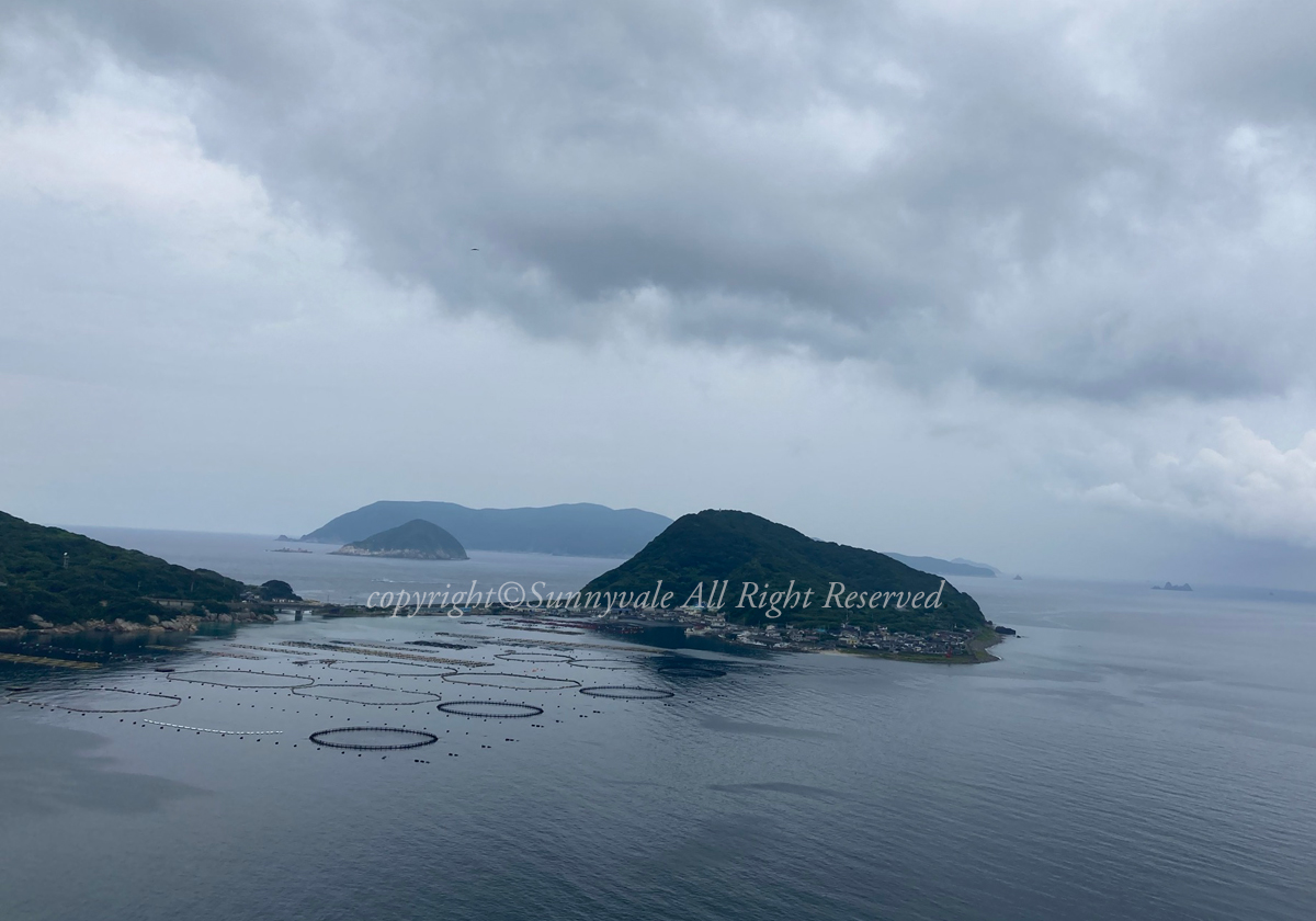 あいにくの天気ですが、海はバッチリです