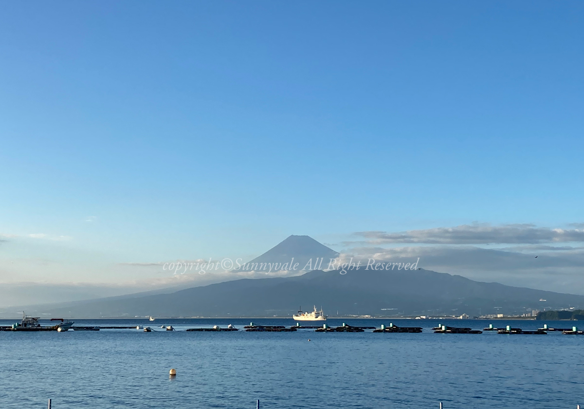 平沢