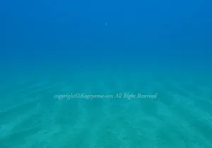 「黄金崎ビーチ」　かげやまさん