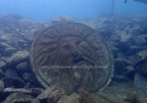 「真実の口」　なつみさん