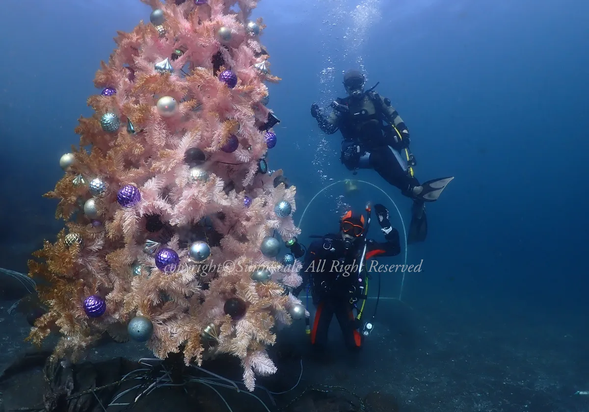 水中クリスマスツリー