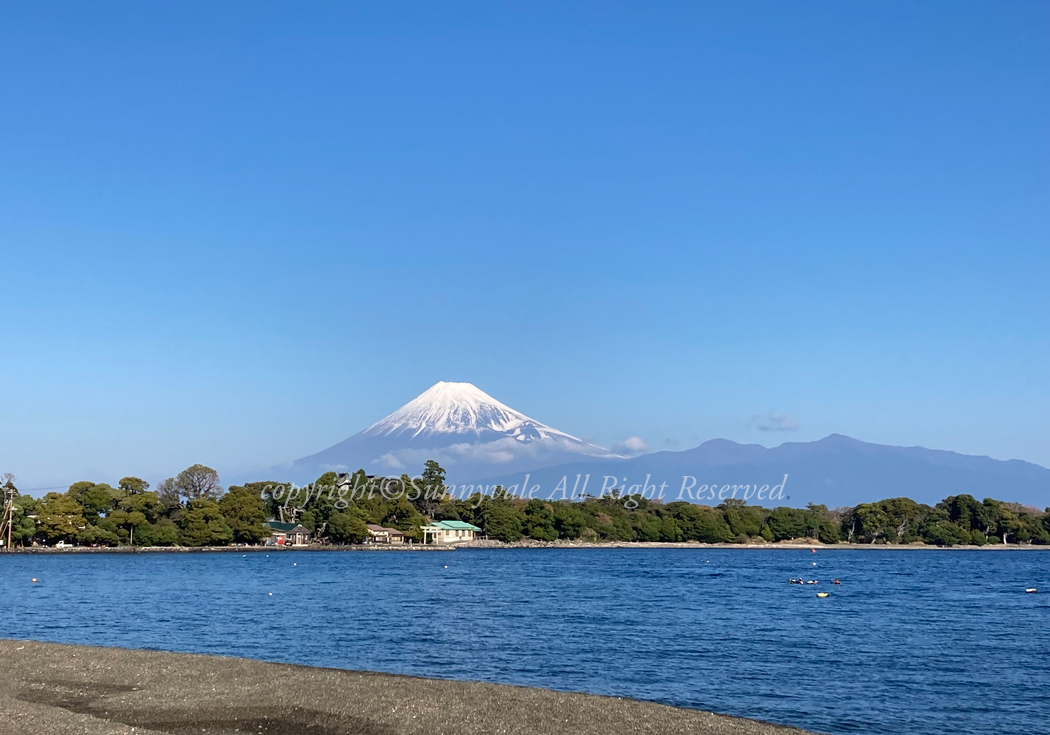 大瀬崎