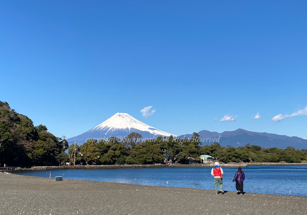 大瀬崎