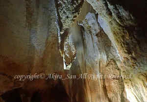 「シャンデリアケーブ」　たかはしさん撮影