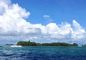 「パラオ」　ほしみさん撮影