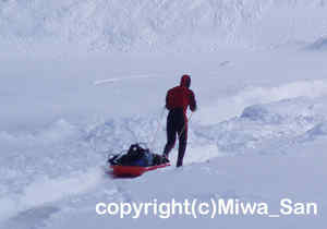 「流氷ダイビング」　みわさん撮影