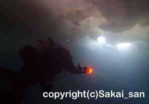 「流氷ダイビング」さかいさん撮影