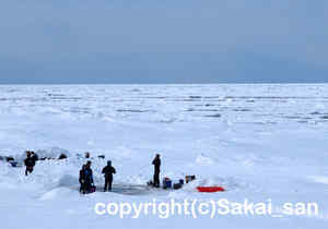 「流氷ダイビング」　のみやさん撮影