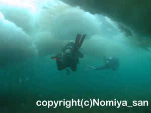 「流氷ダイビング」　のみやさん撮影