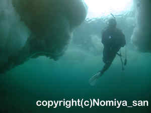 「流氷ダイビング」　のみやさん撮影