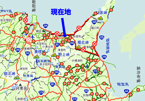 1日で、この変わりよう(＠_＠)