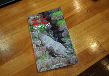 Newエビ図鑑登場(*^^)v