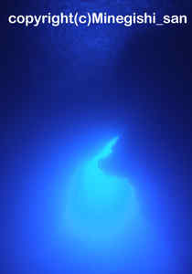 「グロット」　みねぎしさん撮影