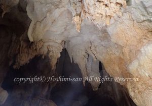 「シャンデリアケーブ」　ほしみさん