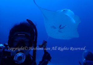 「マンタとバディ」　ほしみさん